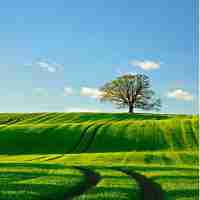 智﻿能​网​站‍加‍速​软‍件‌